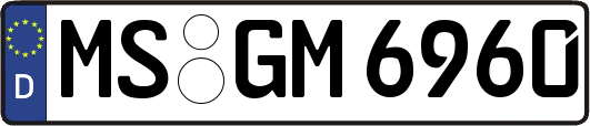 MS-GM6960