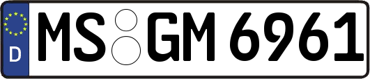 MS-GM6961