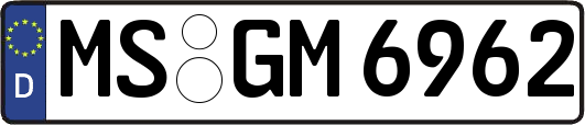 MS-GM6962
