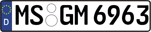 MS-GM6963