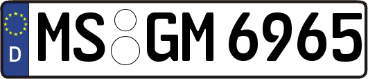 MS-GM6965
