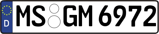 MS-GM6972