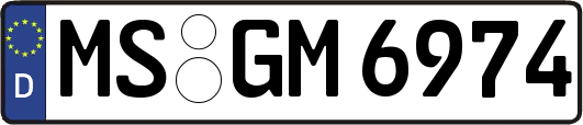 MS-GM6974