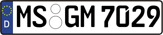 MS-GM7029