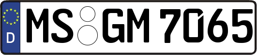 MS-GM7065