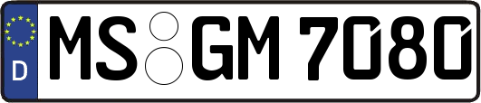 MS-GM7080