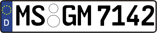 MS-GM7142
