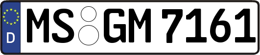 MS-GM7161