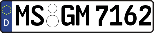 MS-GM7162