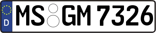 MS-GM7326