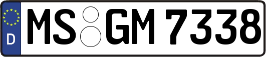 MS-GM7338