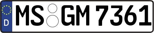 MS-GM7361