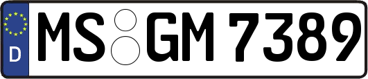 MS-GM7389