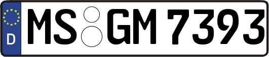 MS-GM7393