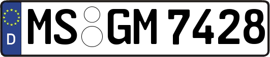 MS-GM7428