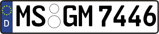 MS-GM7446