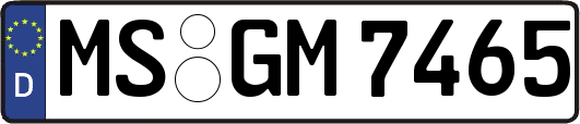 MS-GM7465