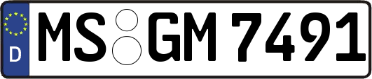 MS-GM7491
