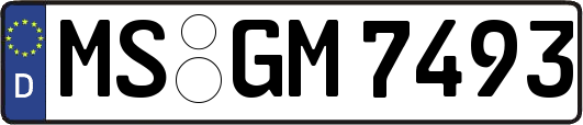 MS-GM7493