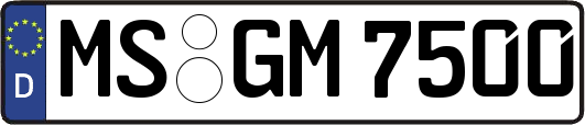 MS-GM7500