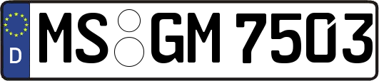 MS-GM7503