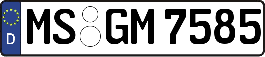 MS-GM7585