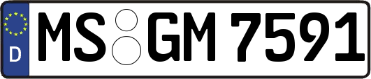 MS-GM7591