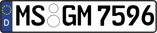 MS-GM7596
