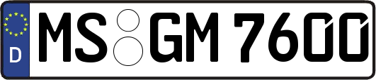 MS-GM7600