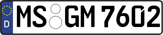 MS-GM7602
