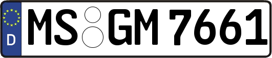 MS-GM7661