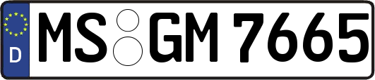 MS-GM7665