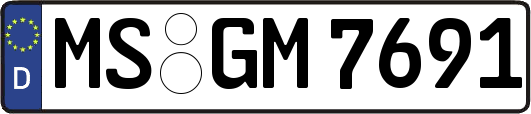 MS-GM7691