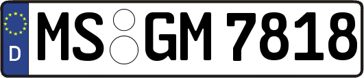MS-GM7818
