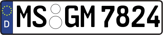 MS-GM7824