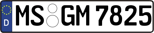 MS-GM7825
