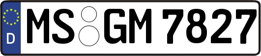MS-GM7827
