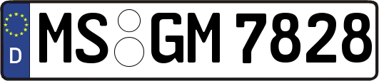 MS-GM7828