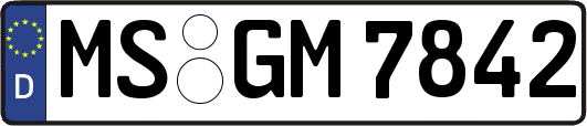 MS-GM7842