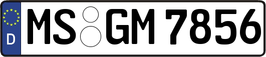 MS-GM7856