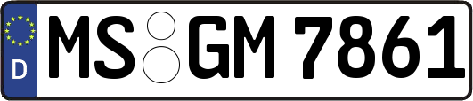 MS-GM7861