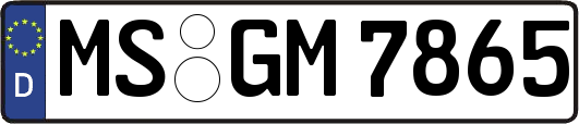 MS-GM7865