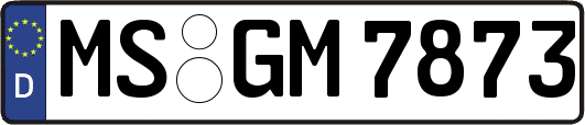 MS-GM7873