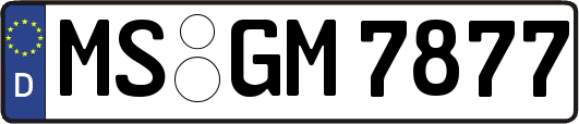 MS-GM7877