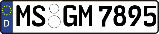 MS-GM7895