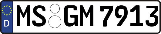 MS-GM7913