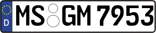MS-GM7953
