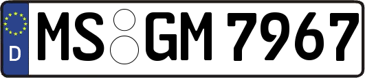 MS-GM7967