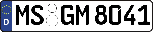 MS-GM8041