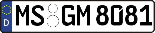 MS-GM8081